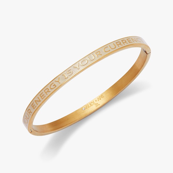 アレックスアンドアニ レディース アクセサリー ブレスレット・バングル・アンクレット Alex and Ani Your Energy Is Your Currency Hinge Bangle Bracelet Gold ゴールド