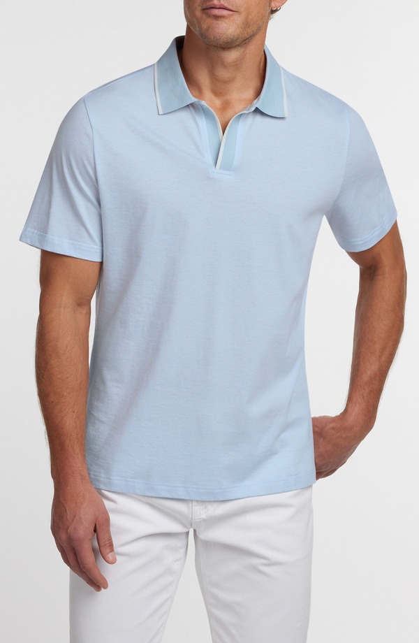 デイビッドドナヒュー メンズ トップス ポロシャツ シルク コットン Davidonahue Hemingway Cotton & Silk Polo Sky