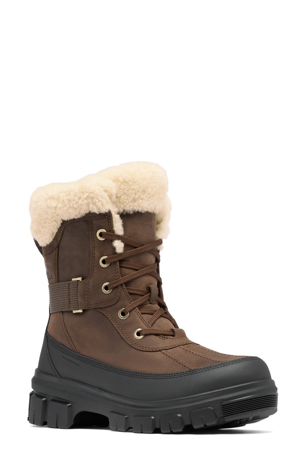 ソレル レディース シューズ ブーツ・レインブーツ SOREL Tivoli V Parc Genuine Shearling Waterproof Bootobacco/ Black 黒いこと