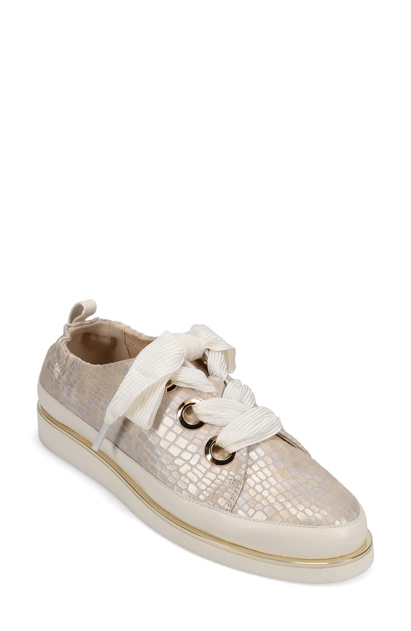 ベネリ レディース シューズ スニーカー トール VANELi Quenda Metallic Sneaker Champagne 三鞭酒