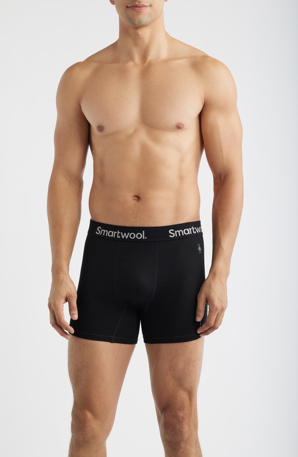 かっこ良い羊毛 メンズ アンダー御召しもの ボクサーズボン下 Smartwool Active Boxer Briefs Black 黒いこと