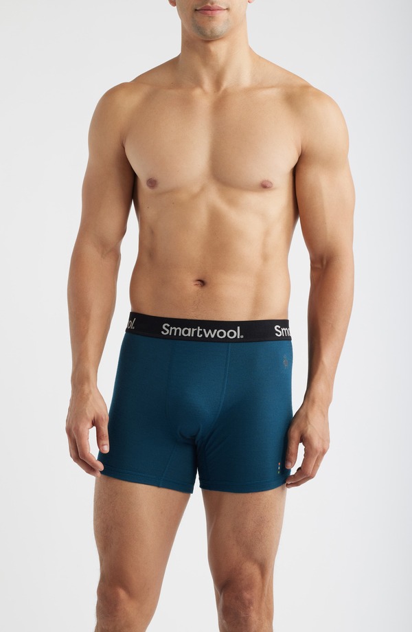 かっこ良い羊毛 メンズ アンダー御召しもの ボクサーズボン下 Smartwool Active Boxer Briefs Twilight Blue 青碧