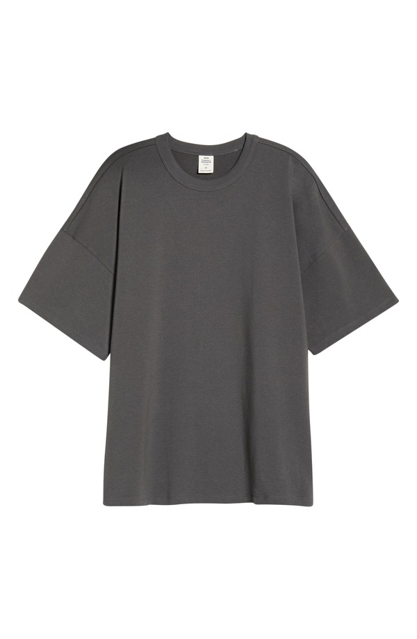スキムズ メンズ トップス ティーシャツ SKIMS Oversize T-Shirt Ash 死灰