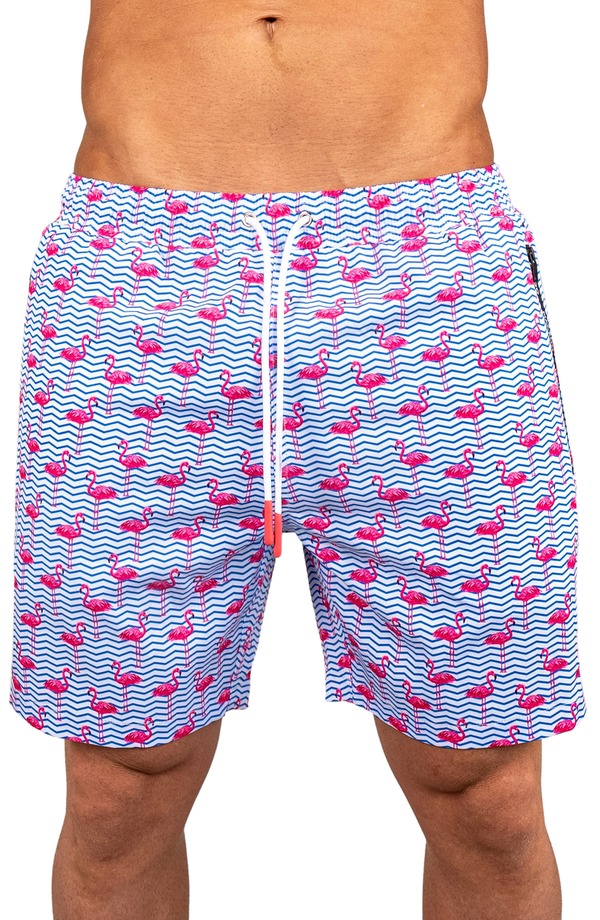 マセオ メンズ 海水着 二分の一ズボン下・さる股引き Maceoo Swim Lion Flamingo Swim Trunks Blue 青碧
