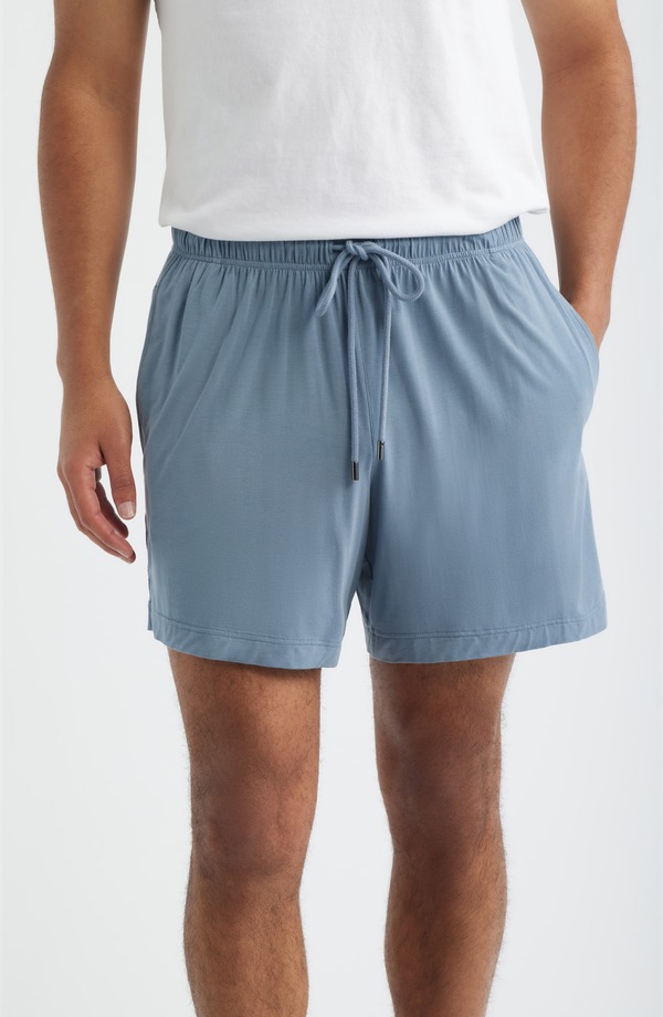 ダニエルブチュラー メンズ ボトムス 二分の一ズボン下・さる股引き 遊撃手ズボン下 Daniel Buchler Modal Blend Pajama Shorts Air Force Blue Stripe 青み