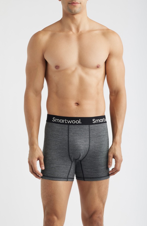 かっこ良い羊毛 メンズ アンダー御召しもの ボクサーズボン下 Smartwool Active Boxer Briefs Medium Gray Heather 薄墨色