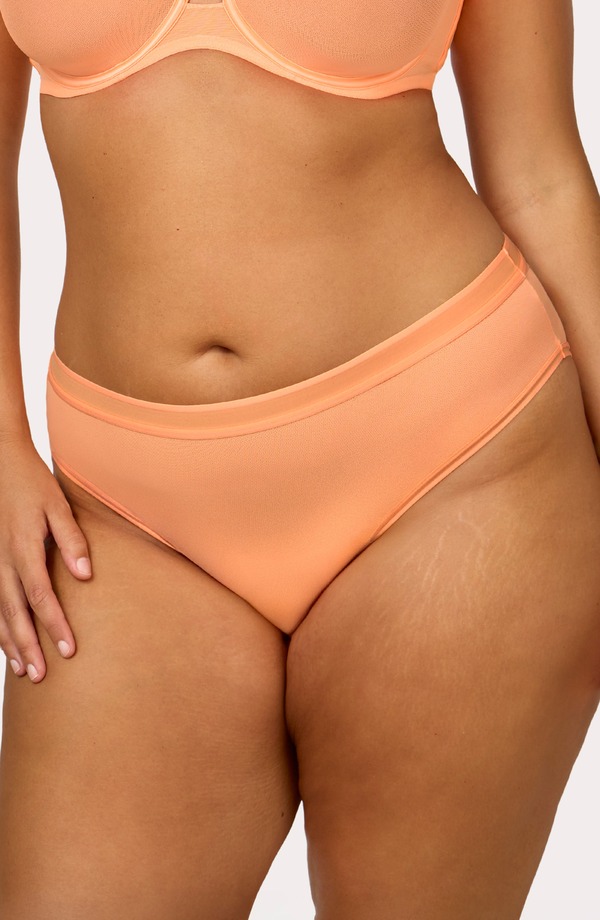 カービークチュール レディース アンダー御召しもの ズボン下 メッシュ シアー Curvy Couture Sheer Meshigh Cut Briefs Orange Tang オレンジ色