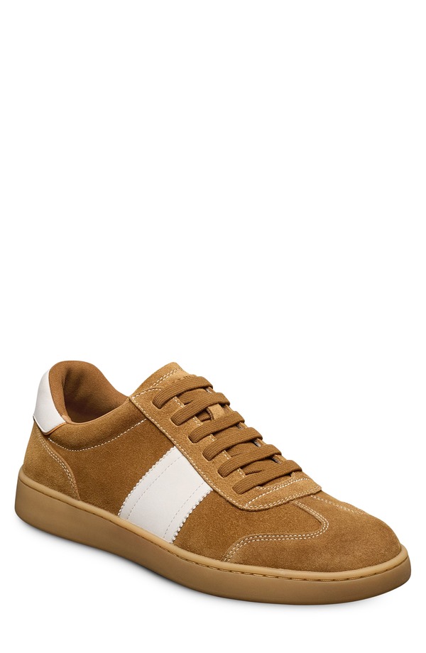 ウディアレン エドモンズ メンズ シューズ スニーカー Allen Edmonds Ludlow Slip-On Sneaker Fawn