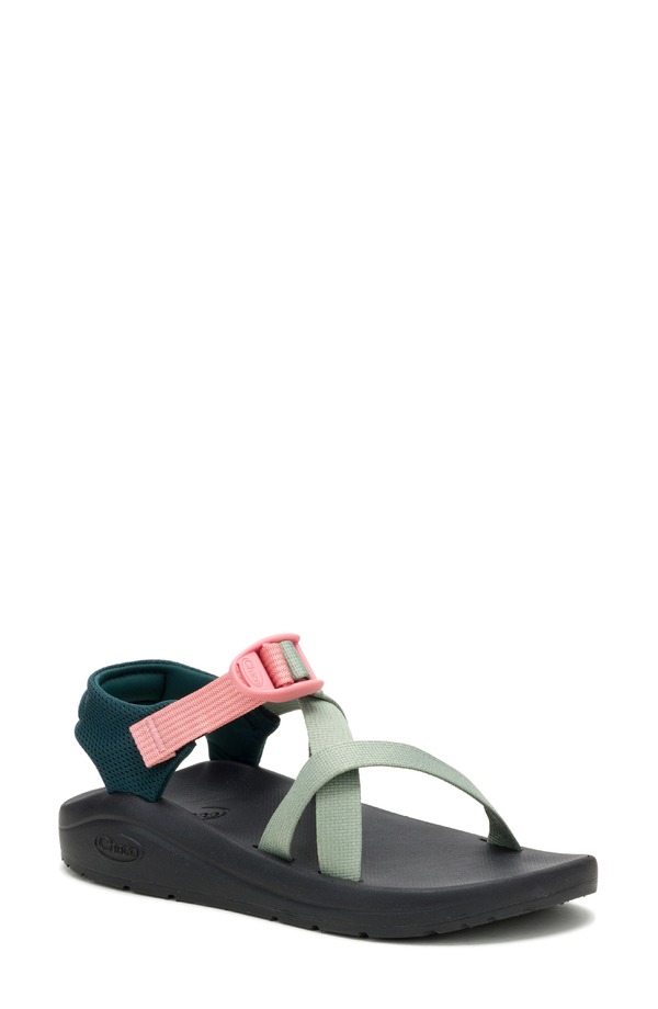 白墨 レディース シューズ サンダル Chaco CushZ Sandal Sage サルヴィア