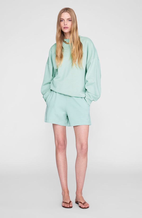 アニービン レディース アウター パーカー・スウェット シャツ ANINE BING Milesweatshirt Washed Seafoam|ReVida 店