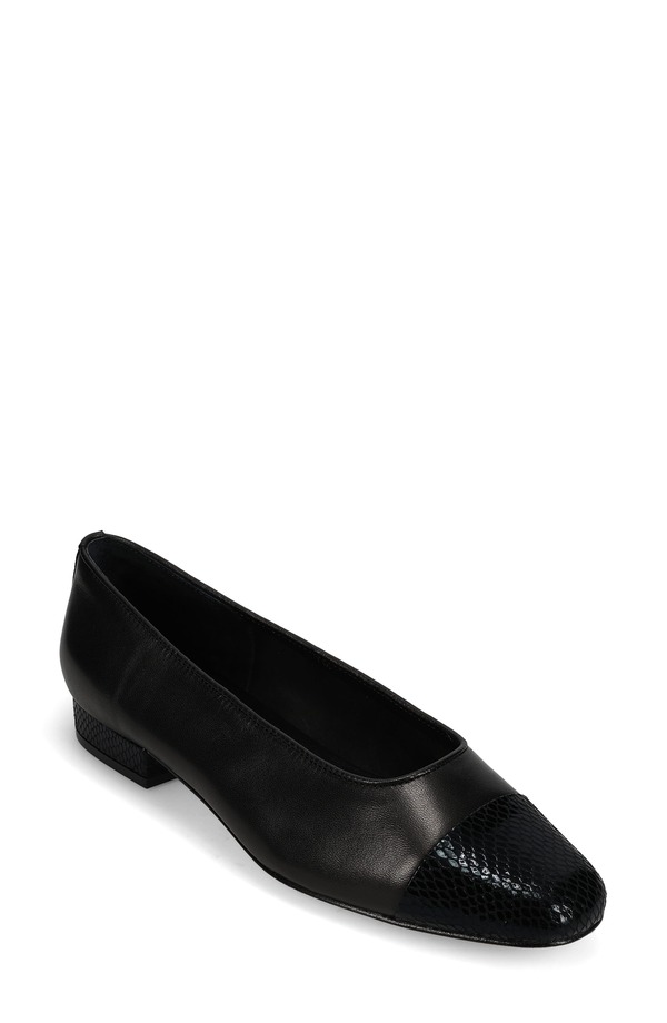 ベネリ レディース シューズ パンプス 旗がしら VANELi Cap Toe Flat Black Leather 黒いこと