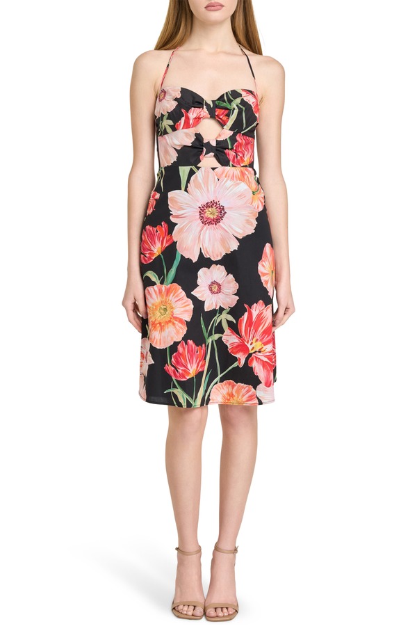 【送料無料】 ワイフ レディース ワンピース トップス In Bloom Cutout Detail Halter Neck Stretch Cotton Dress BLACK POPPIES｜ReVida 店 15,185円