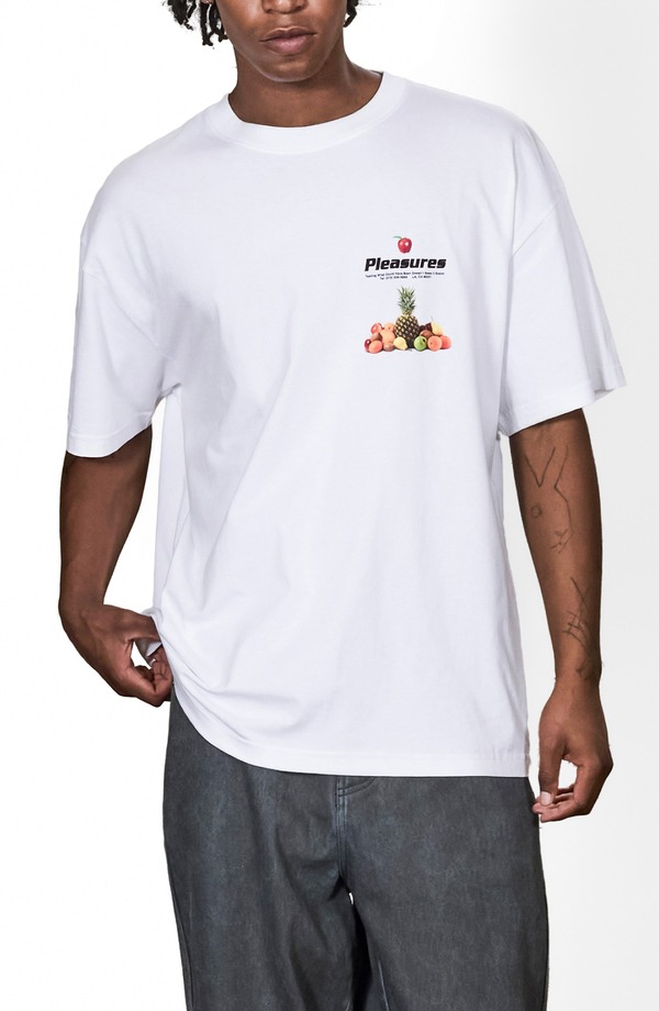 プレジャーズ メンズ トップス Tシャツ コットン グラフィック PLEASURES Delivery Cotton Graphic T-Shirt WHITE ホワイト｜ReVida 店