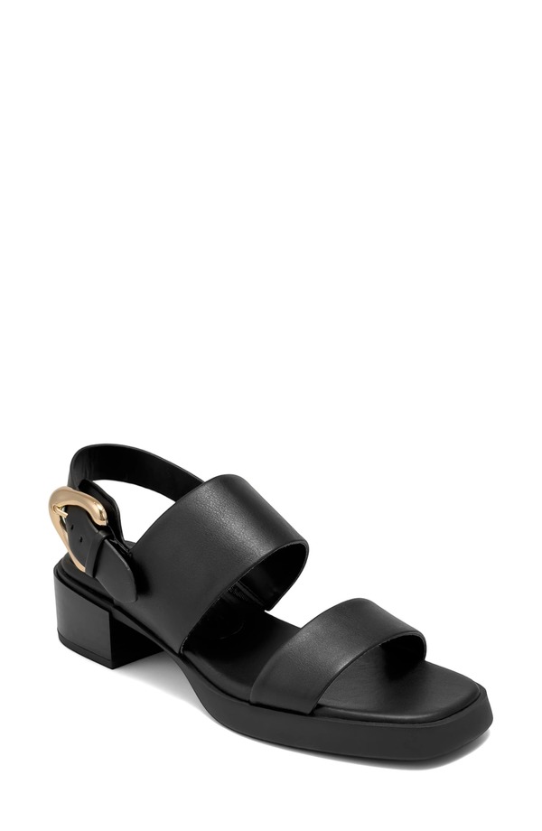 エアロソールズ レディース シューズ 踵 サンダル Aerosoles Dantay Slingback Sandal Black 黒いこと