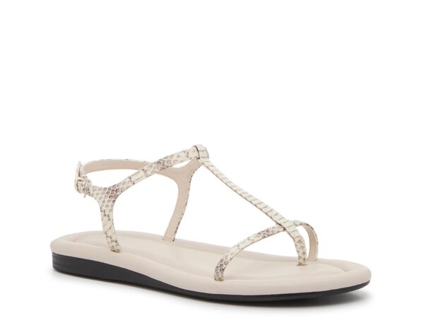 フランコサルト レディース シューズ サンダル Franco Sarto Joela Sandal Grey Snake Print グレー