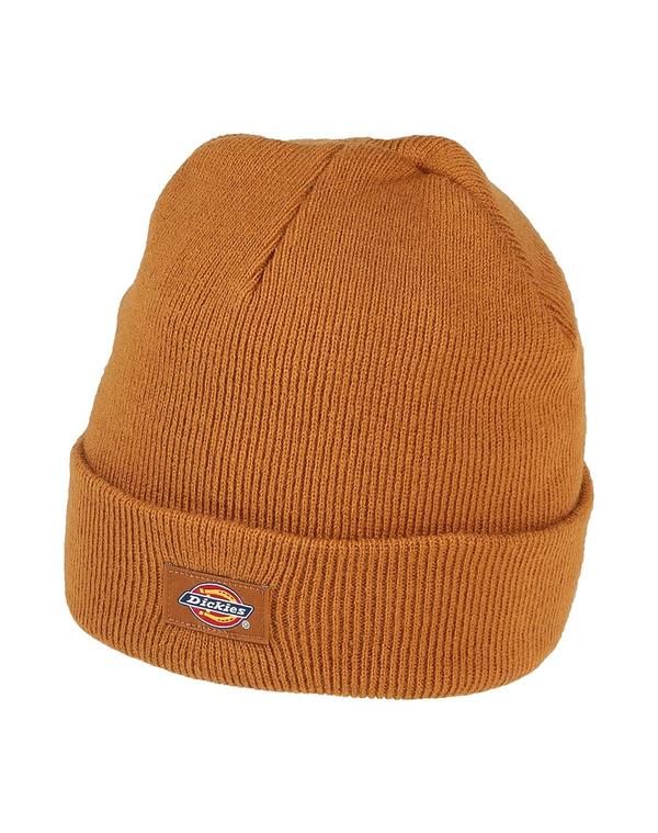 ディッキーズ メンズ アクセサリー 帽子 DICKIES 帽子 Camel キャメル