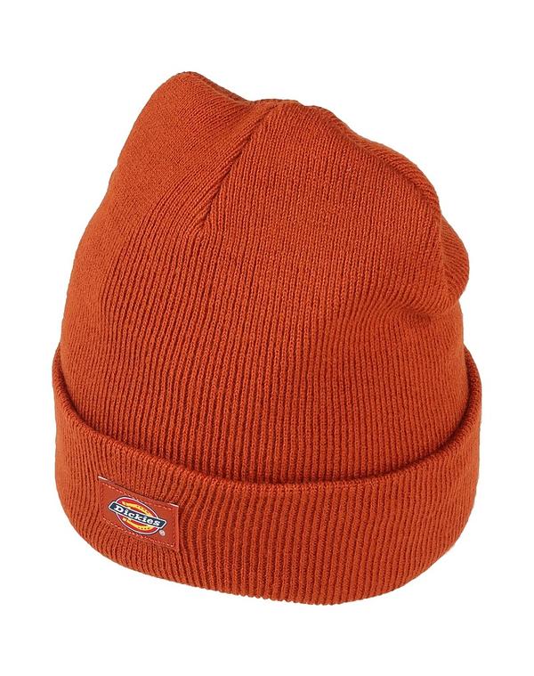 ディッキーズ メンズ アクセサリー 帽子 DICKIES 帽子 Tan タン