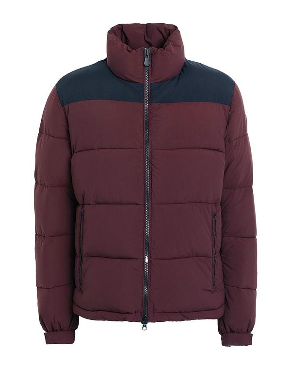 セイブ ザ ダック メンズ アウター ジャケット・ブルゾン SAVE THE DUCK パファージャケット Bordeaux|ReVida 店