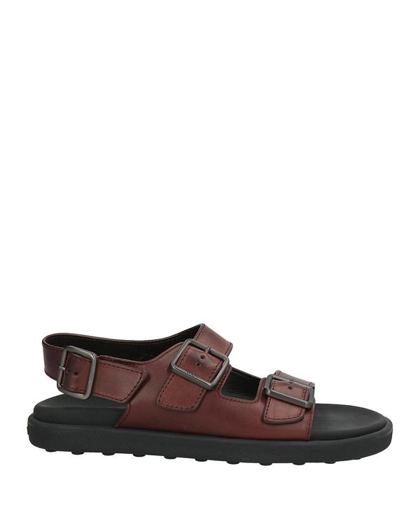 トッズ メンズ シューズ サンダル TOD'S サンダル Dark Brown ブラウン|ReVida 店