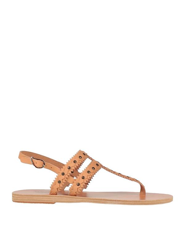 アンシエントグリークサンダル レディース シューズ ANCIENT GREEK SANDALS ソング・サンダル Camel キャメル