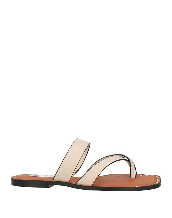 スティーブ マデン レディース シューズ サンダル STEVE MADDEN ソング・サンダル Light Pink ピンク