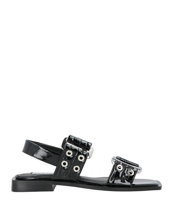 スティーブ マデン レディース シューズ サンダル STEVE MADDEN サンダル Black ブラック