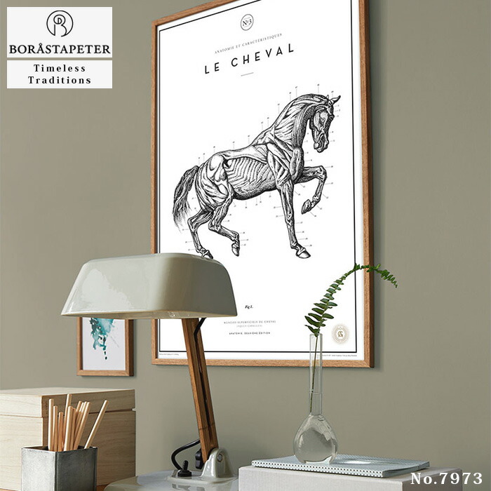 日本正規品 壁紙 輸入壁紙 Borastapeter Timeless Tradition 53cmx10m 全3色 はがせる壁紙 貼ってはがせる 壁紙 フリース壁紙 おしゃれ 張り替え Diy 北欧 賃貸 インテリア スウェーデン製 ボラスタペーター 無地 白 ベージュ ブラウン Fucoa Cl