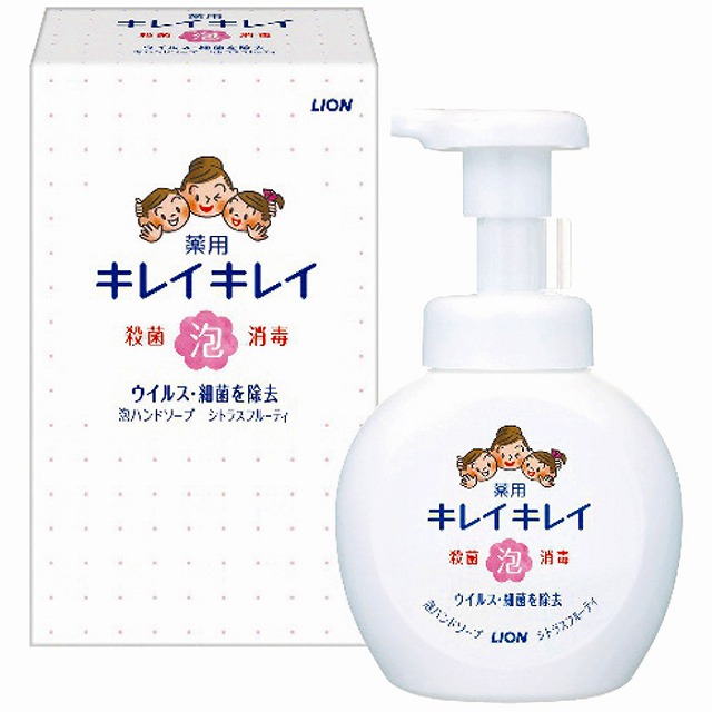 15%尖んがりUP百獣の王  キレイキレイ薬用泡お手て石けん250ml(箱入)