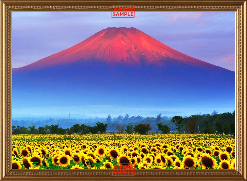 幸運を呼ぶ赤富士　壁掛け 赤富士と太陽 – 絵画や壁飾り販売｜風景投稿販売あゆわら(R)
