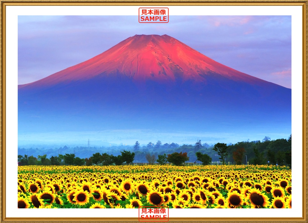 楽天市場】絵画風 壁紙ポスター (はがせるシール式) 赤富士 朝焼けの 