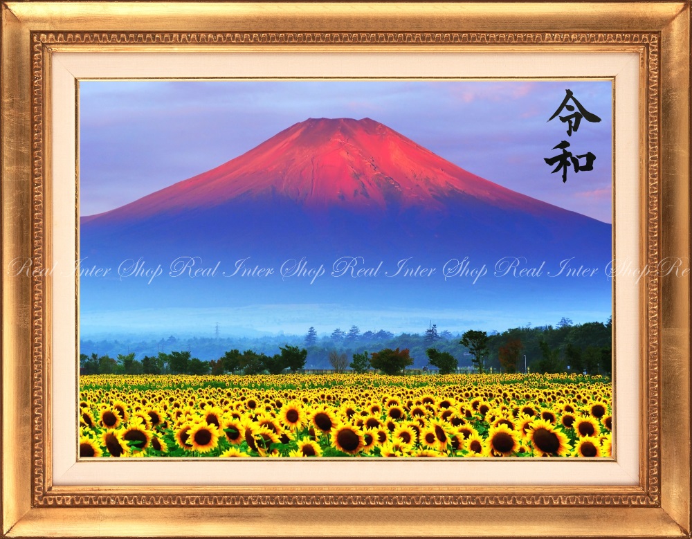 絵画風 壁紙ポスター (はがせるシール式) -令和版- 赤富士 朝焼けの富士山と向日葵畑 ひまわり 幸運 開運 縁起物 風水 パワースポット 【額縁印刷／令和元年記念】 キャラクロ FJS-033SGHR1 (750mm×585mm) ＜日本製＞ ウォールステッカー お風呂ポスター