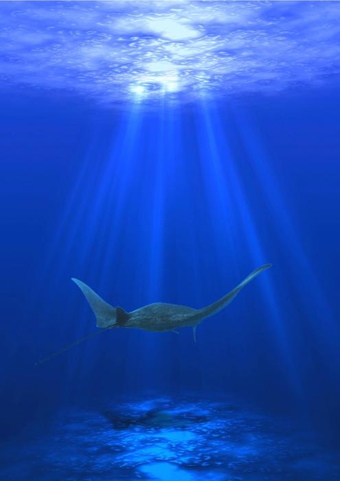 Omoinotake Ammoliteポスター Omoinotake Ammoliteポスター Ammolite