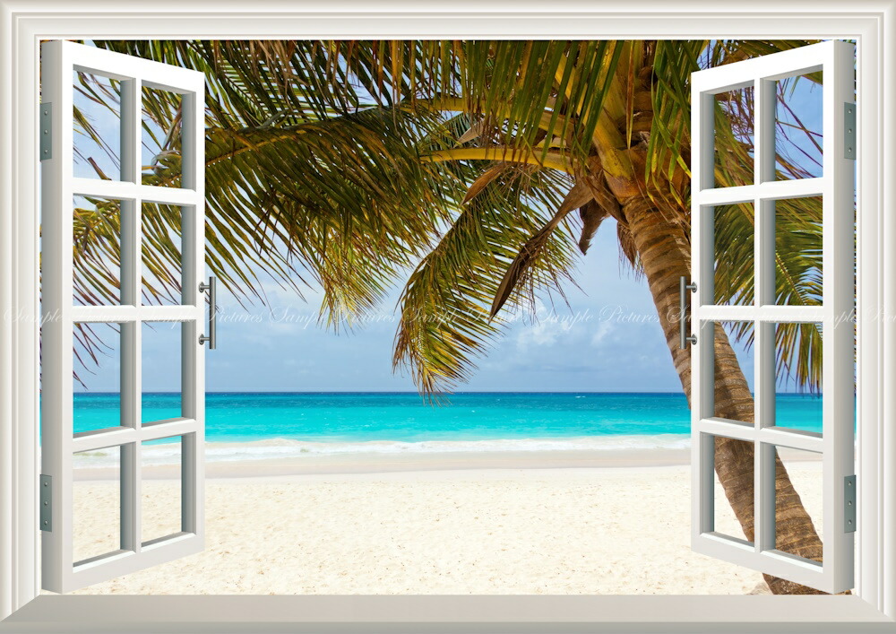 だきます ヤフオク ポリネシア ボラボラ島 ビーチ オテマ あります Shineray Com Br