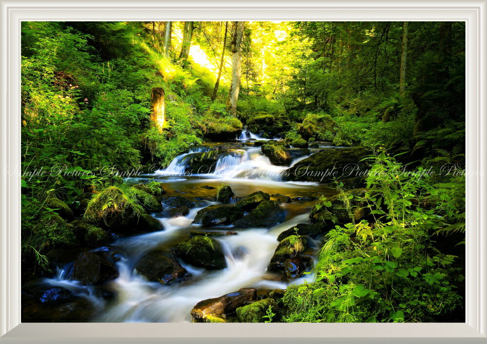 パノラマ版／扉なし窓仕様】-窓の景色- 森林 森林浴 目の保養 壁紙