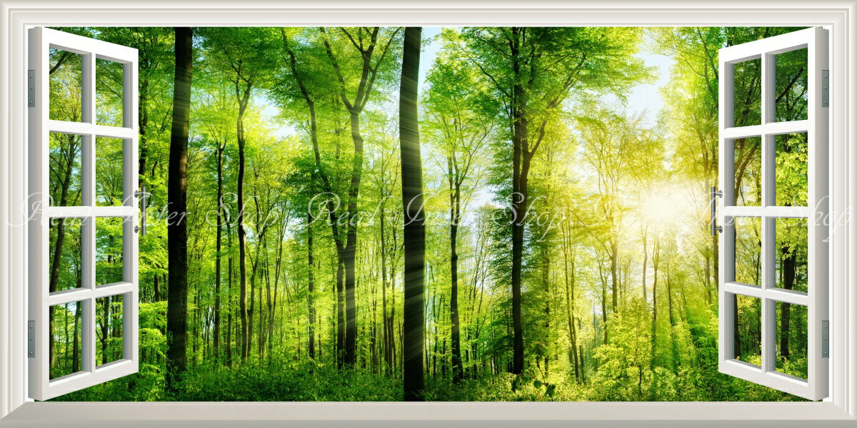 【楽天市場】絵画風 壁紙ポスター (はがせるシール式) -窓の景色- 森林 パノラマ 森林浴 日光浴 陽射し 太陽 緑の森 目の保養 癒し
