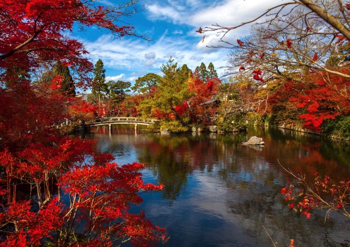 絵画風 壁紙ポスター (はがせるシール式) 紅葉 もみじ イロハモミジ 日本庭園 池 キャラクロ KYO-003A1 (A1版 830mm×585mm) ＜日本製＞ ウォールステッカー お風呂ポスター