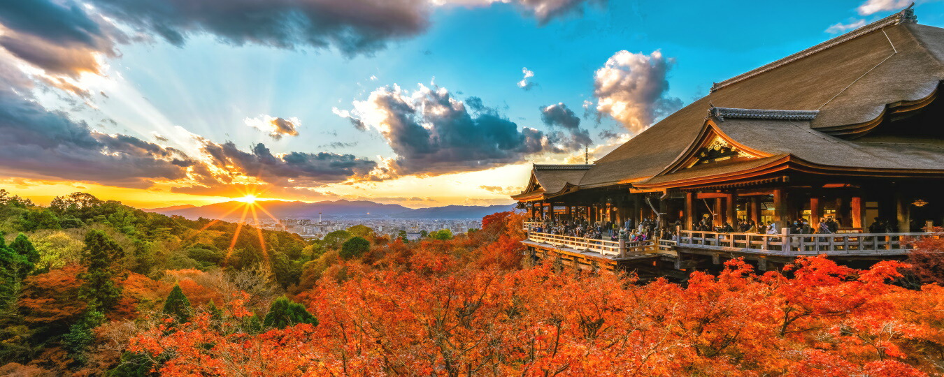 絵画風 壁紙ポスター (はがせるシール式) 夕日が照らす京都清水の舞台と紅葉 音羽山 清水寺 世界遺産 絶景スポット キャラクロ M-KMD-002P1(パノラマ版 1440mm&times;576mm)＜日本製＞ ウォールステッカー お風呂ポスター｜レアルインターショップ