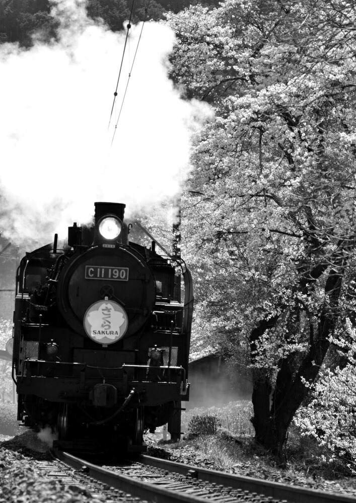 蒸気機関車の油絵（黒フレーム付き） imgrc0075736408.jpg