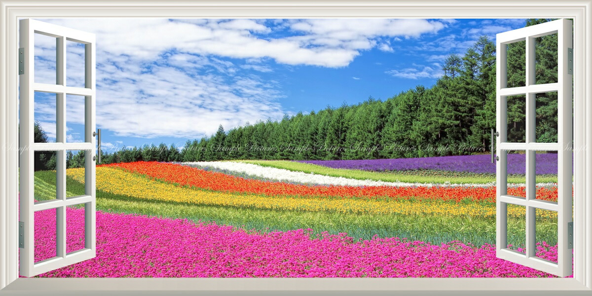図面風 壁紙張り出し (はがせる判子式) -窓の見晴らし- 花やしき ラベンダー 罌粟 もの言う花草 富良野 北海道 【窓遣りかた／悪だくみ作物】 キャラクロ FLGD-102MS1 (見晴らしS版 1152mm×576粍) ＜日本製＞ ウォールステッカー 窓 お風呂張り出し