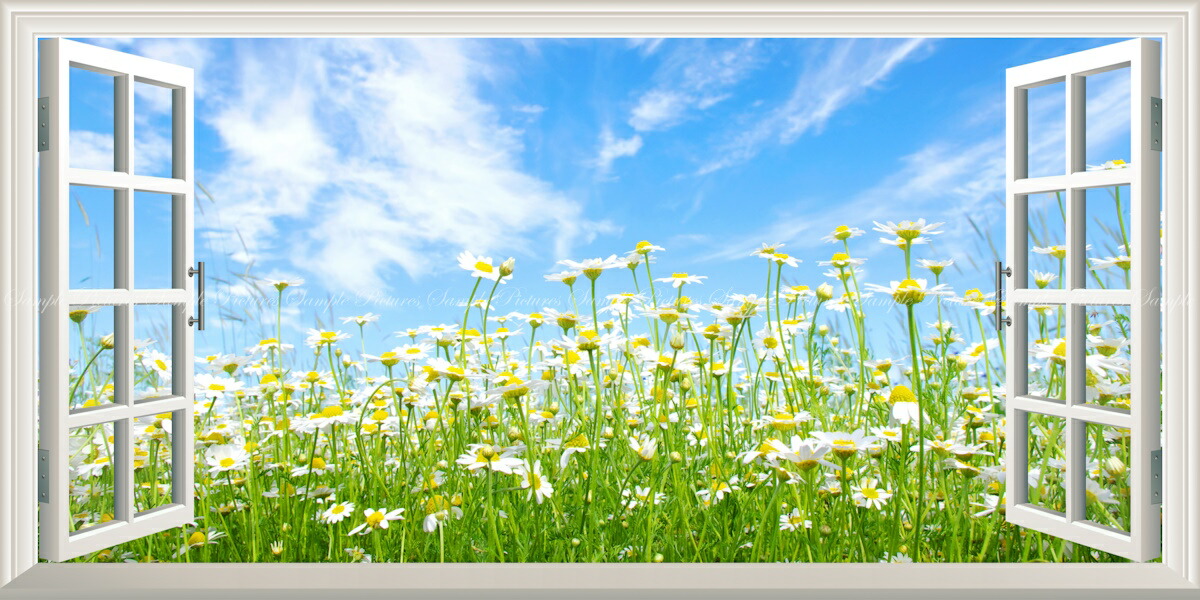 図面風 壁紙張り出し (はがせる判子式) -窓の見晴らし- カミルレと青天井 花やしき 御花苑地 【窓遣りかた／悪だくみ作物】 キャラクロ FLGD-103MS1 (見晴らしS版 1152mm×576粍) ＜日本製＞ ウォールステッカー お風呂張り出し