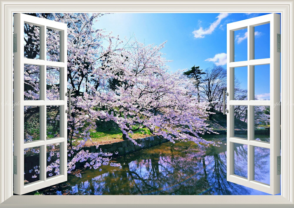 絵画風 壁紙ポスター (はがせるシール式) -窓の景色- さくらの開花 春の景色 桜の木 サクラ 八重桜 ソメイヨシノ 【窓仕様／トリックアート】 キャラクロ FSKR-023MA1 (A1版 830mm×585mm) ＜日本製＞ ウォールステッカー お風呂ポスター