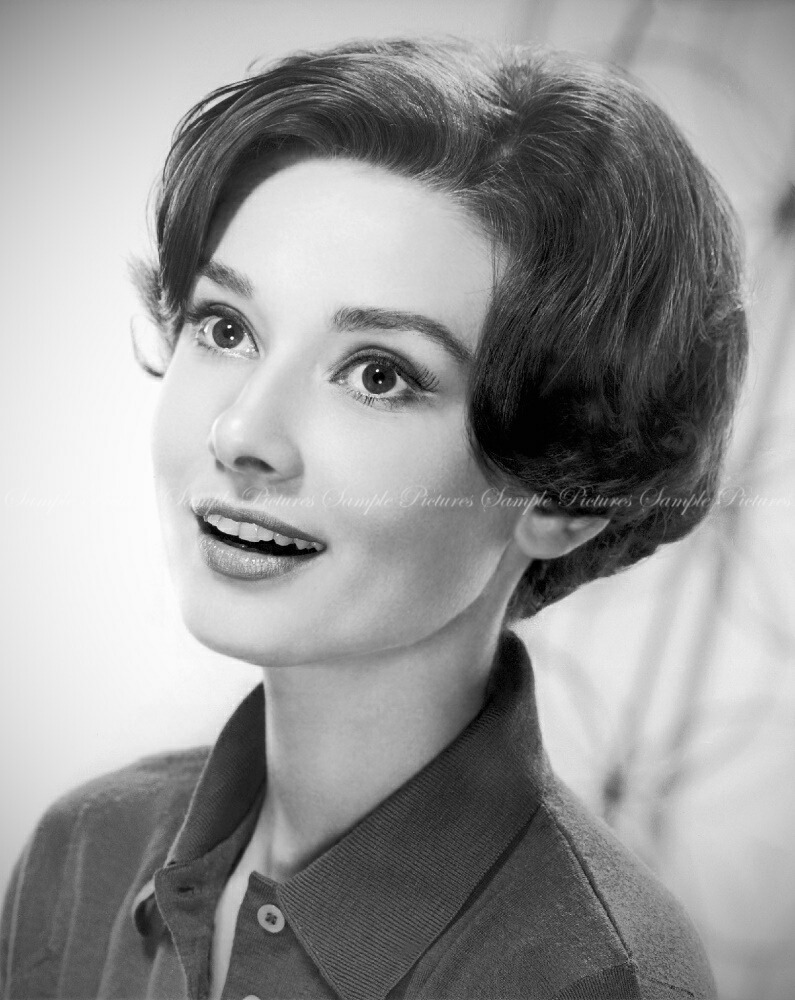 自宅でのオードリー・ヘップバーン セピア 壁紙ポスター 505mm×594mm 自宅でのオードリー ヘップバーン 1953年 モノクロ ローマの休日 絵画