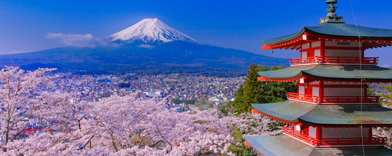図面風 壁紙貼り出し (はがせる消印式) -大地の撮り方- THE JAPANな絶景、桜富士＆新倉山浅間運動場の忠霊塔と桜 富士山 さくら 見晴らし  キャラクロ C-ZJP-010P1 (見晴らし版 1440mm×576粍) ＜日本製＞ ウォールステッカー お風呂貼り出し