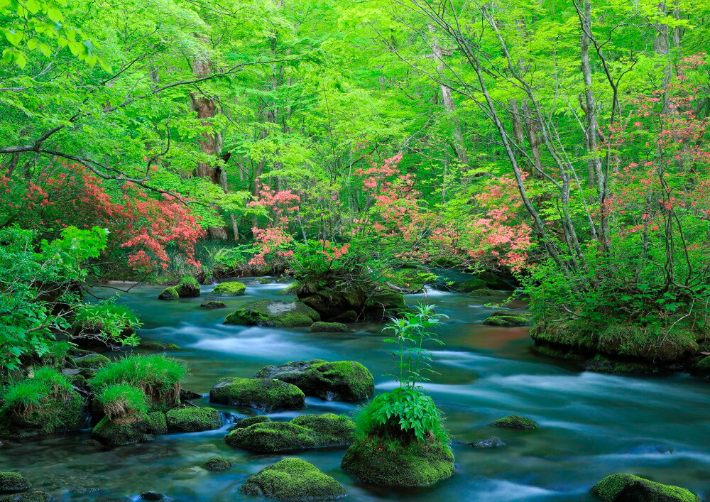 楽天市場 絵画風 壁紙ポスター はがせるシール式 地球の撮り方 ツツジ映える新緑の奥入瀬渓流 青森県十和田市 日本の絶景 キャラクロ C Zjp 046a1 A1版 0mm 585mm 建築用壁紙 耐候性塗料 インテリア レアルインターショップ