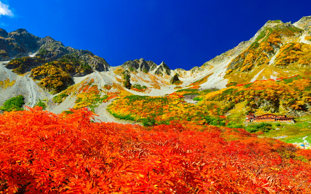 楽天市場 絵画風 壁紙ポスター はがせるシール式 地球の撮り方 日本一の紅葉 涸沢カールの絶景と奥穂高岳登山 日本の絶景 キャラクロ C Zjp 067w2 ワイド版 603mm 376mm 建築用壁紙 耐候性塗料 インテリア レアルインターショップ