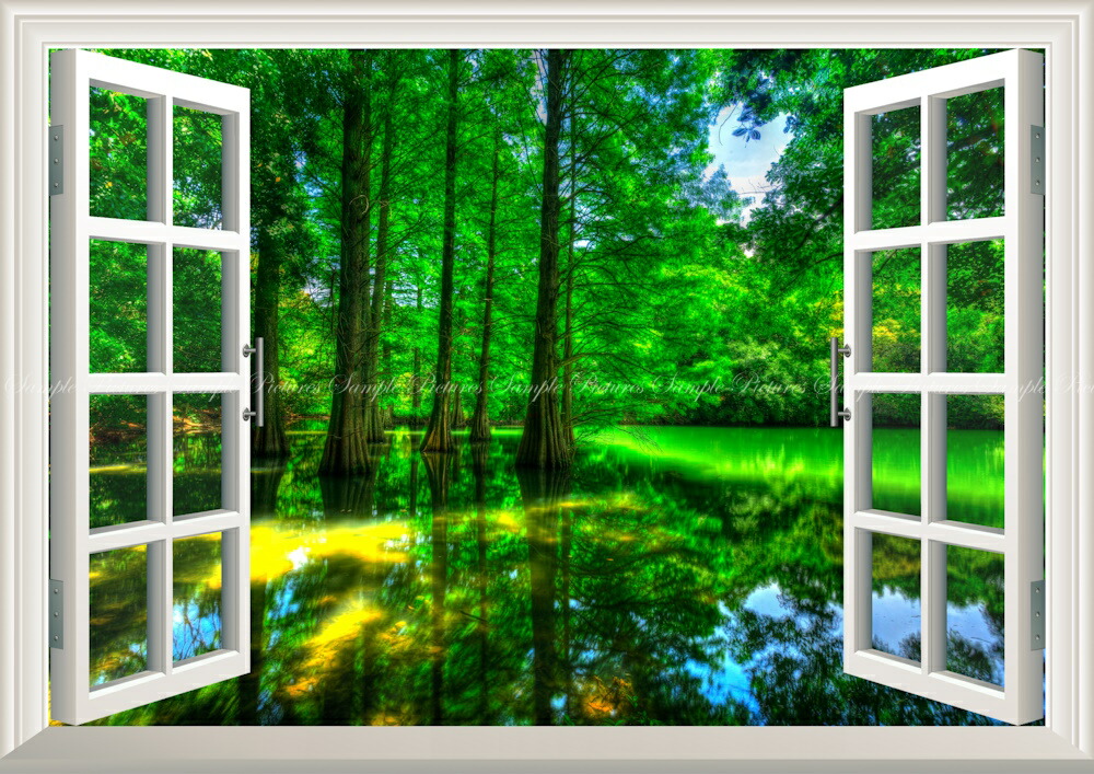 楽天市場 絵画風 壁紙ポスター はがせるシール式 窓の景色 地球の撮り方 福岡の街中に現れた異世界 篠栗 ささぐり 九大の森の落羽松 ラクウショウ 森林セラピー認定基地 癒し 窓仕様 トリックアート キャラクロ C Zjp 006ma1 A1版 0mm 585mm 楽天市場 絵画風 壁紙ポスター はがせるシール式 窓の景色 地球の撮り方 福岡の街中に現れた異世界 篠栗 ささぐり 九大の森の落羽松 ラクウショウ 森林セラピー認定基地 癒し 窓仕様 トリックアート キャラクロ C Zjp 006ma1 A1版 0mm 585mm