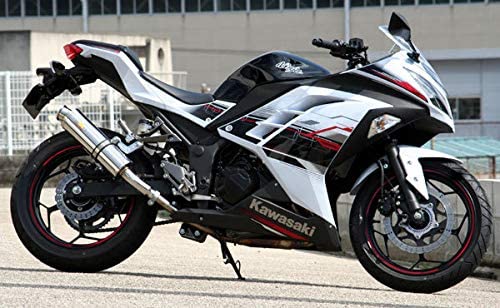 Realize ニンジャ250 バイクマフラー JBK-EX250L 2013年〜2017年モデル対応 Aria アリア ステンレス カールタイプ (TypeC) マフラー リアライズ カワサキ バイク用品 バイクパーツ カスタム パーツ ドレスアップ 交換 社外品 説明書付 Ninja250画像