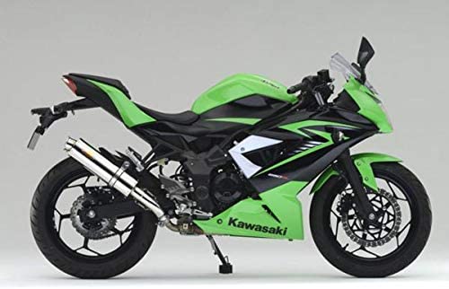 Realize ニンジャ250SL バイクマフラー JBK-BX250A 2015年〜2016年モデル対応 Aria アリア ステンレス カールタイプ (TypeC) マフラー リアライズ カワサキ バイクパーツ カスタム パーツ ドレスアップ 交換 社外品 説明書付 Ninja250SL画像