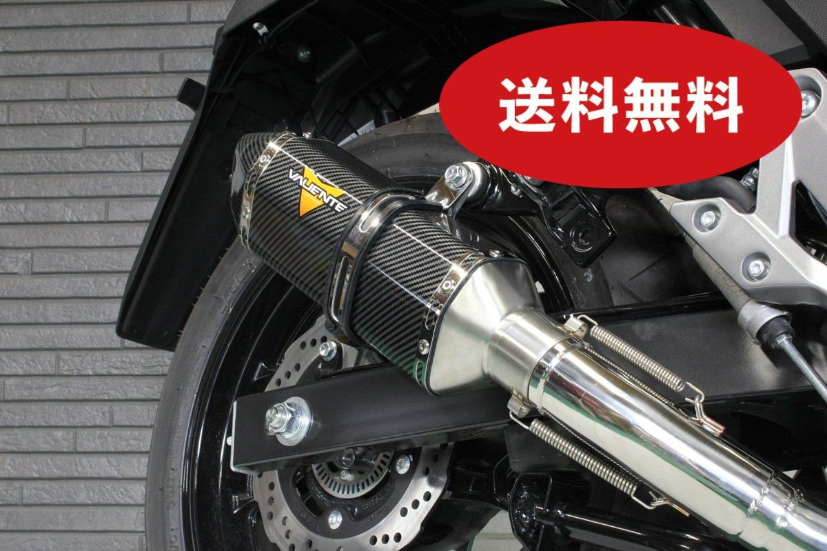 楽天市場】Vストローム250 バイクマフラー 2BK-DS11A 2017年～2020年モデル対応 Meteo メテオ チタンソリッド マフラー  バイク用品 バイク用 バイクパーツ フルエキ フルエキゾースト カスタム パーツ ドレスアップ 交換 社外品 Realspeed リアルスピード  スズキ V ...