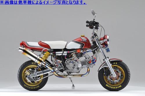 Realize (リアライズ) スズキ GS50 (BA-NA41A) 2005年～2006年モデル対応 バイクマフラー EMPLESS エンプレス Ti チタン マフラー｜バリエンテ　店